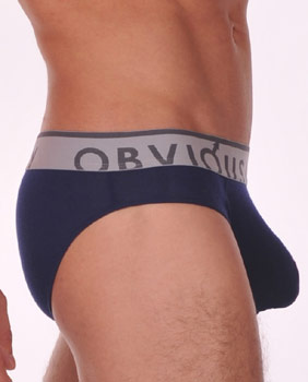 Obviously Chromatic Low Rise Boxer Briefs Blue